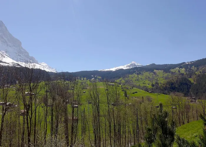 アパート Eiger-1 By Interhome *