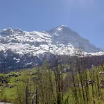 Eiger-1 By Interhome Apartmán Grindelwald